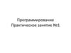 Программирование. Практическое занятие