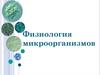Физиология микроорганизмов