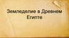 Земледелие в Древнем Египте