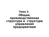 Общая, производственная структура и структура управления предприятием. (Тема 3)