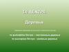 Деревья. Названия деревьев на русском и греческом языках