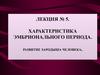 Эмбриональный период. Развитие зародыша человека. (Лекция 5)