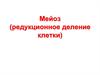 Мейоз (редукционное деление клетки)