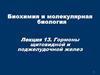 Гормоны щитовидной и поджелудочной желез. (Лекция 13)