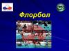 Вид спорта - флорбол