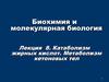 Катаболизм жирных кислот. Метаболизм кетоновых тел. (Лекция 8)