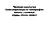 Частная миология Классификация и топография мышц туловища: грудь, спина, живот