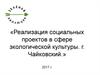 Реализация социальных проектов в сфере экологической культуры. г. Чайковский