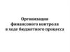 Организация финансового контроля в ходе бюджетного процесса