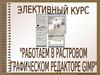 Элективный курс. Работа в растровом графическом редакторе. (10-11 классы)