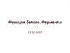 Функции белков. Ферменты