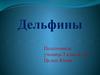Дельфины. Общие сведения о дельфинах