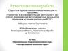 Аттестационная работа. Образовательная программа элективного курса «Методы решения физических задач»