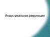 Индустриальная революция. Традиционное и индустриальное общества
