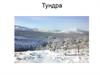 Тундра. Географическое положение