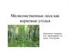Мелколиственные леса как кормовые угодья