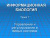 Управление и регулирование в живых системах