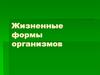 Жизненные формы организмов. Морфологический тип приспособления животного или растения к основным экологическим факторам