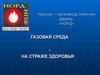 Экологические продукты. Регулируемая газовая среда