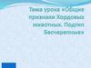 Общие признаки хордовых животных. Подтип Бесчерепные