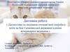 Діагностика та лікування сечокам’яної хвороби в котів