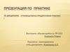 Производственно-преддипломная практика в организации ТОО Барыс 2007
