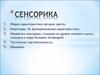 Сенсорика. Общая характеристика органов чувств
