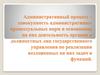 Административный процесс