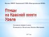 Птицы красной книги Урала