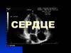 Сердце. Основные диагностические алгоритмы