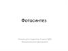 Фотосинтез