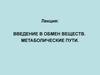 Введение в обмен веществ. Метаболические пути