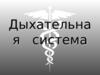 Дыхательная система