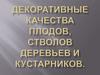 Декоративные качества плодов, стволов деревьев и кустарников