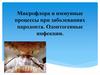 Микрофлора и иммунные процессы при заболеваниях пародонта. Одонтогенные инфекции