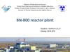 BN-800 reactor plant