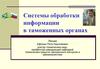 Системы обработки информации в таможенных органах