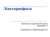 Бактериофаги