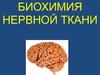 Биохимия нервной ткани