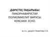 Пикорнавирустар. Полиомиелит вирусы. Коксаки. Есно