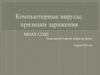 Компьютерные вирусы, признаки заражения