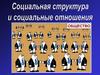 Социальная структура и социальные отношения