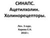 Синапс. Ацетилхолин. Холинорецепторы