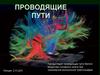Проводящие пути белого вещества головного мозга