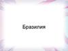Государство Бразилия