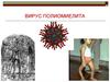 Вирус полиомиелита