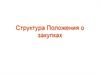 Структура Положения о закупках