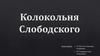Колокольня Слободского