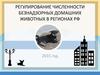 Регулирование численности безнадзорных домашних животных в регионах РФ