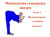 Вестибулярная сенсорная система